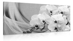 Obraz orchidej na plátně v černobílém provedení - 100x50 cm