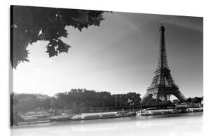Obraz podzimní Paříž v černobílém provedení - 60x40 cm