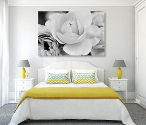 Obraz plný růží v černobílém provedení - 120x80 cm