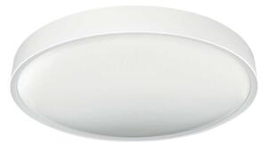 LED Stropní svítidlo SAMER LED/32W/230V 4000K