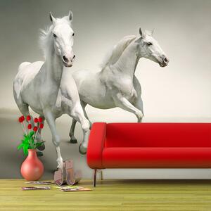 Sablio Tapeta Dva bílí koně - 336x220 cm