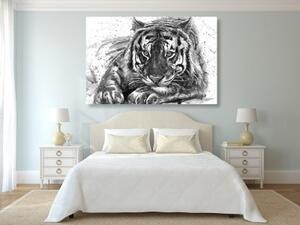 Obraz predátor zvířat v černobílém provedení - 60x40 cm