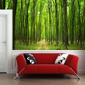Sablio Tapeta Cesta v lese - 125x75 cm