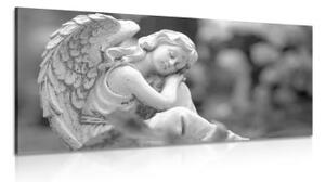 Obraz spokojený anděl v černobílém provedení - 100x50 cm