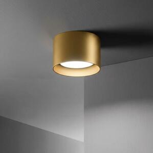 Ideal Lux - LED Bodové svítidlo SPIKE 1xGX53/9W/230V zlatá