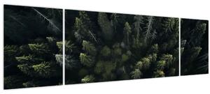 Obraz - Les (170x50 cm)