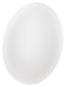 Nástěnné LED svítidlo FIONI bílá, průměr 26 cm