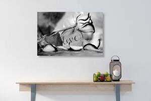 Obraz romantické vyznání v černobílém provedení Love - 60x40 cm