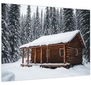 Obraz - Zasněžená chata (70x50 cm)