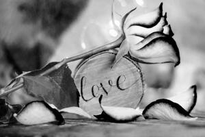 Obraz romantické vyznání v černobílém provedení Love - 60x40 cm