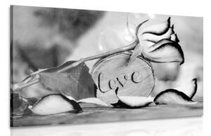 Obraz romantické vyznání v černobílém provedení Love - 120x80 cm