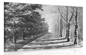 Obraz podzimní alej stromů v černobílém provedení - 60x40 cm