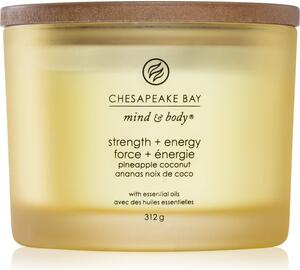 Chesapeake Bay Candle Mind & Body Strength & Energy vonná svíčka I. 312 g