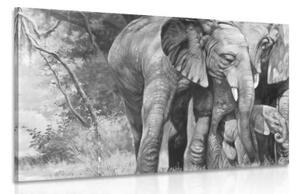 Obraz sloní rodinka v černobílém provedení - 90x60 cm
