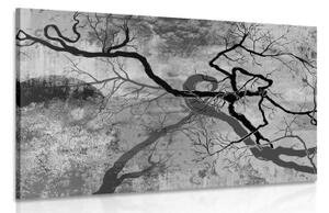 Obraz surrealistické stromy v černobílém provedení - 120x80 cm
