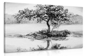 Obraz orientální třešeň v černobílém provedení - 60x40 cm