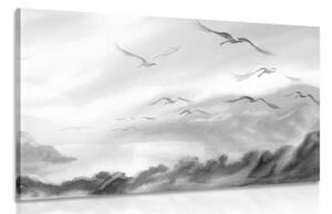 Obraz přelet ptáků přes krajinkou v černobílém provedení - 60x40 cm
