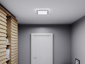 Steinel 052539 interiérové stropní svítidlo se senzorem RS LED D2 S 8,8W, 3000K
