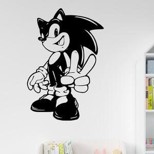 Živá Zeď Samolepka Postava Ježek Sonic Barva: černá
