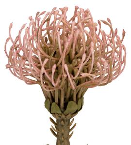 Umělá rostlina Protea Květina Malá růžová Present Time (Barva-růžová)