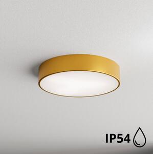 Brilagi - Koupelnové stropní svítidlo CLARE 2xE27/24W/230V pr. 40 cm IP54 zlatá