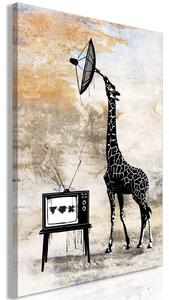 Obraz - Televizní žirafa 40x60