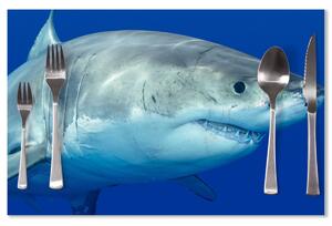 Sablio Prostírání Žralok: 40x30cm