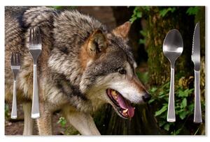 Sablio Prostírání Vlk: 40x30cm