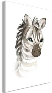 Obraz - Malá zebra 40x60