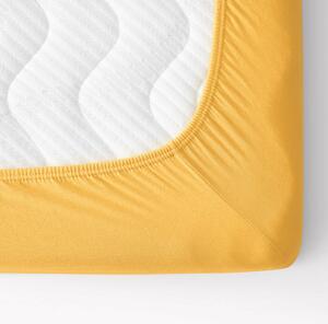 Goldea prostěradlo jersey s napínací gumou - mangové 90 x 200 cm