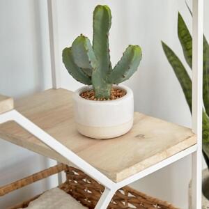 Umělá květina Kave Home Cactus