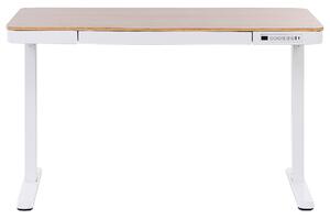 Elektricky nastavitelný psací stůl s USB portem 120 x 60 cm světlé dřevo/bílý KENLY