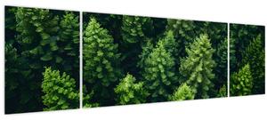 Obraz - Les (170x50 cm)