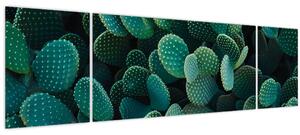 Obraz - Opuncie (170x50 cm)