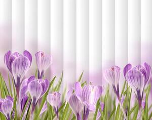Fotožaluzie - - Jarní květiny 100 x 100cm