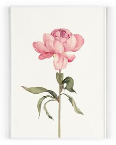 Plakát / Obraz Zen S okrajem Pololesklý saténový papír A4 - 21 x 29,7 cm