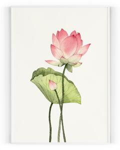 Plakát / Obraz Zen 30 x 40 cm Pololesklý saténový papír S okrajem