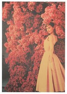 Plakát Audrey Hepburn 51,5x36cm Vintage č.17