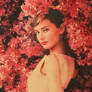 Plakát Audrey Hepburn 51,5x36cm Vintage č.17