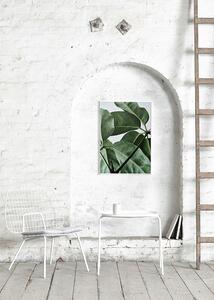 Paper Collective Plakát Green Home 01 by Riikka Kantinkoski 30x40 cm