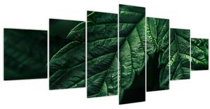 Obraz - Detail listu (210x100 cm)
