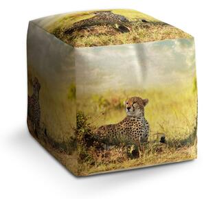 Sablio Taburet Cube Gepard: 40x40x40 cm