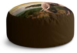 Sablio Taburet Circle Slon z profilu: 40x50 cm