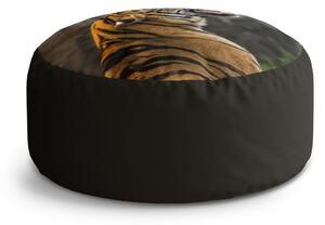 Sablio Taburet Circle Řvoucí tygr: 40x50 cm