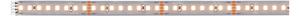 P 71245 MaxLED 1000 LED Strip teplá bílá pouze pásek 1m 7,2W 1100lm/m 128 LEDs/m 2700K - PAULMANN
