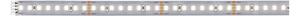 P 71250 MaxLED 1000 LED Strip neutrální bílá pouze pásek 1m 7,2W 1100lm/m 128 LEDs/m 4000K - PAULMANN