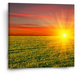 Sablio Obraz Západ slunce nad loukou - 50x50 cm