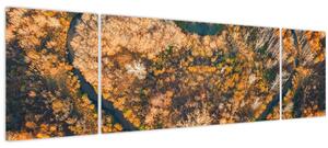 Obraz - Řeka ve tvaru srdce (170x50 cm)