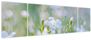 Obraz - Jemné květy (170x50 cm)