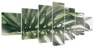 Obraz - List monstery (210x100 cm)